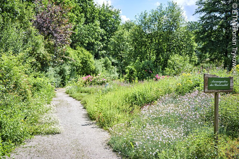 Parkanlagen beim Aromagarten Erlangen