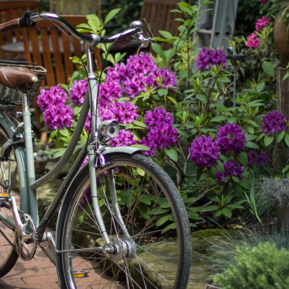 Fahrrad - Hotelchen am Theater