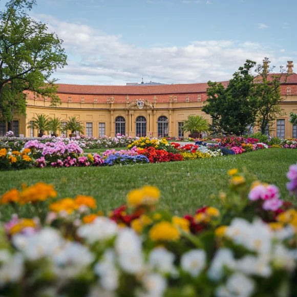 Orangerie im Schlossgarten Orangerie im Schlossgarten
