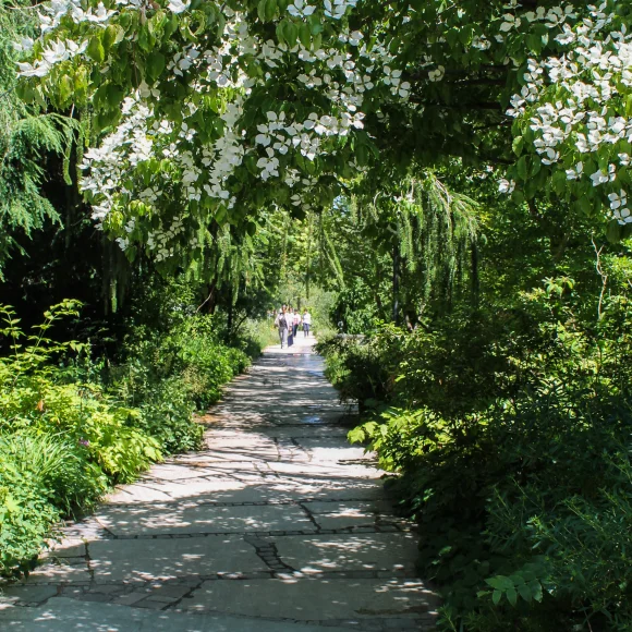 Botanischer Garten Erlangen