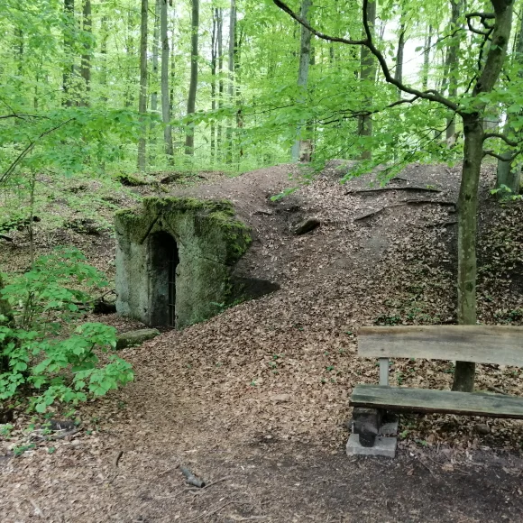 Wanderung Erlanger Osten