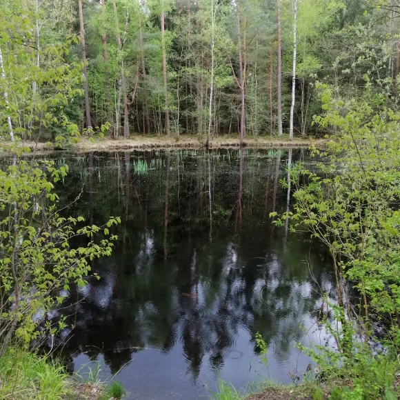 Wanderung Erlanger Osten