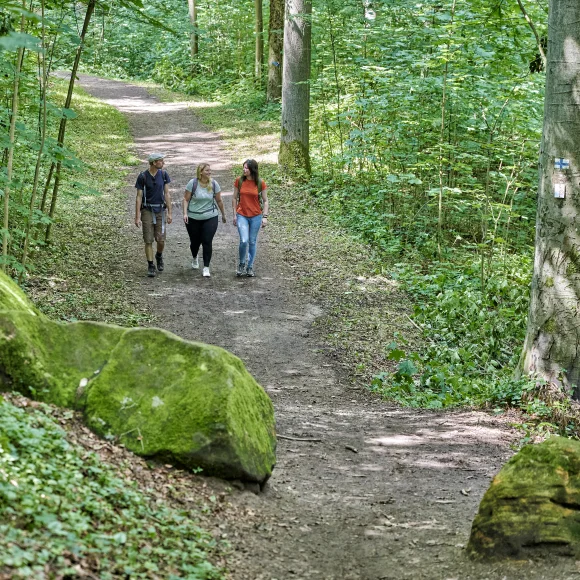 Wanderung durch den Wald