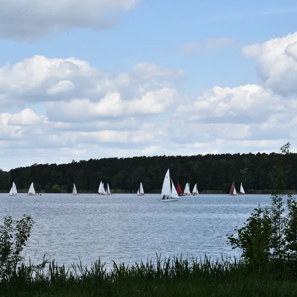 Dechsendorfer Weiher