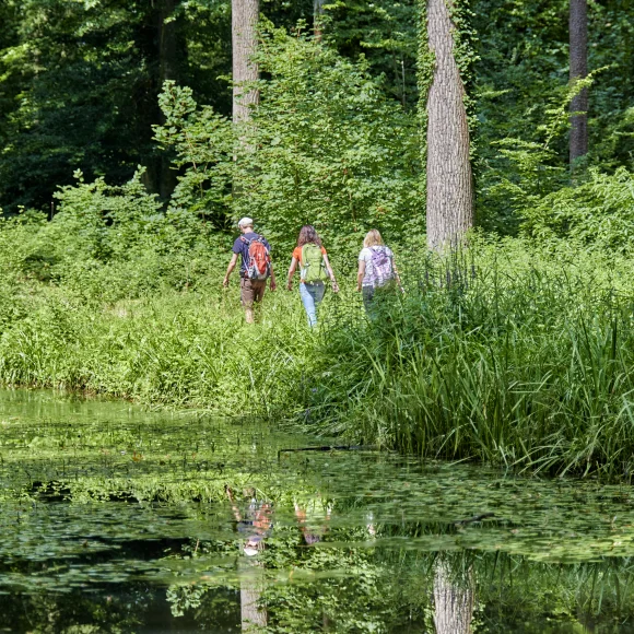 Wanderung entlang der Weiher