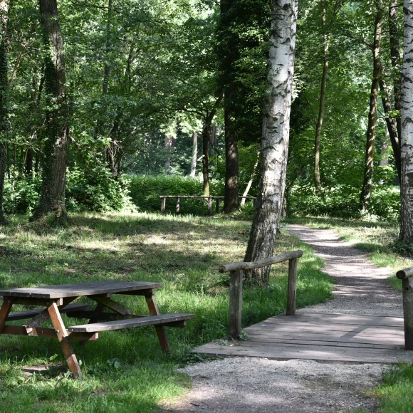 Meerretichweg - Pausenbank