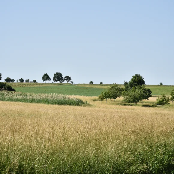 Hochwasserweg