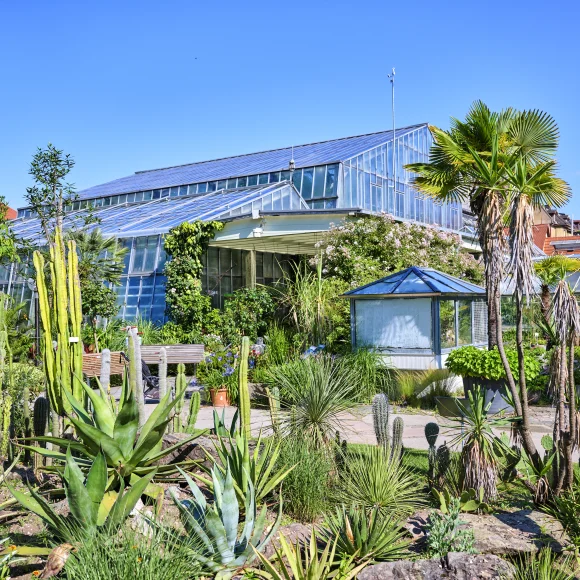 Botanischer Garten Gewächshäuser im Botanischen Garten