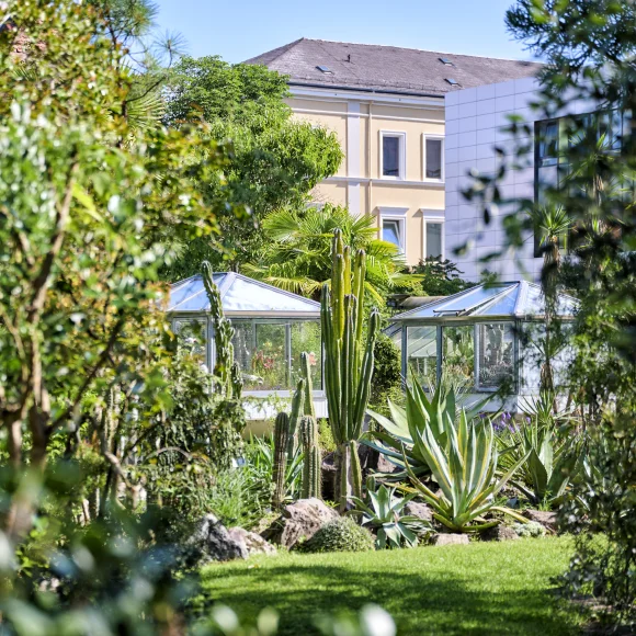 Botanischer Garten Blick in den Botanischen Garten Erlangen