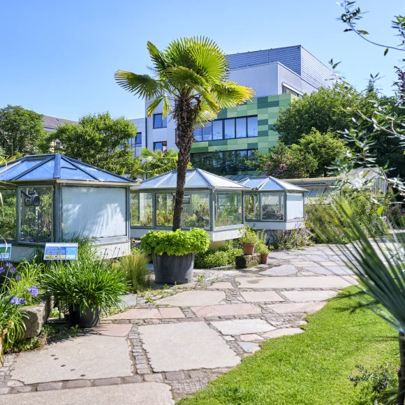 Botanischer Garten Erlangen Weg im Botanischen Garten Erlangen