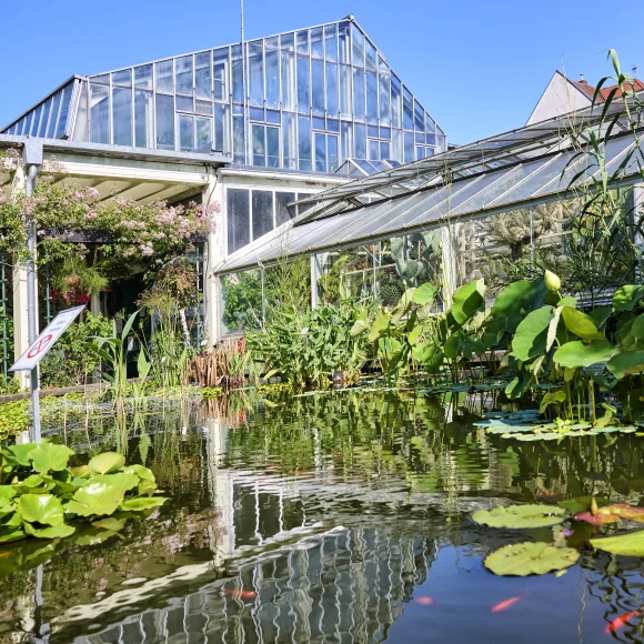 Botanischer Garten Erlangen Teiche im Botanischen Garten Erlangen