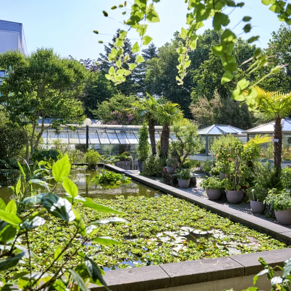 Botanischer Garten Erlangen Teiche im Botanischen Garten