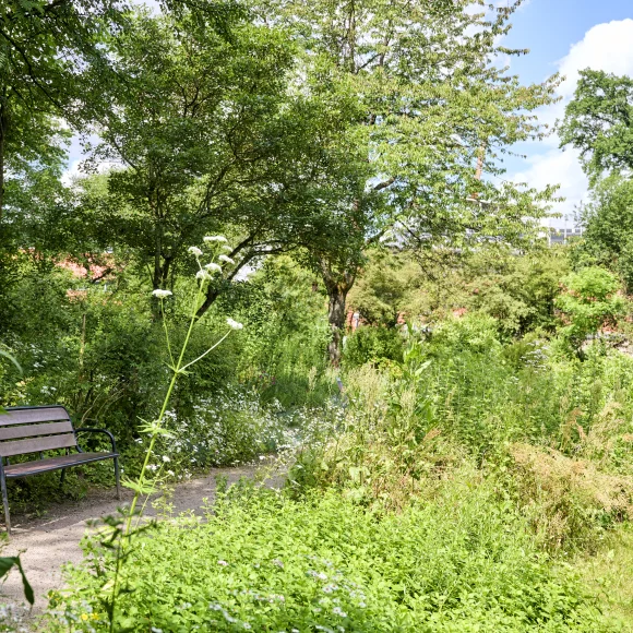 Aromagarten Erlangen Parkanlage im Erlanger Aromagarten