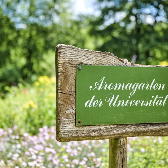 Schild im Aromagarten Erlangen Grünes Schild im Aromagarten Erlangen