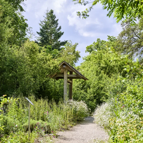 Weg im Aromagarten in Erlangen Weg im Aromagarten in Erlangen