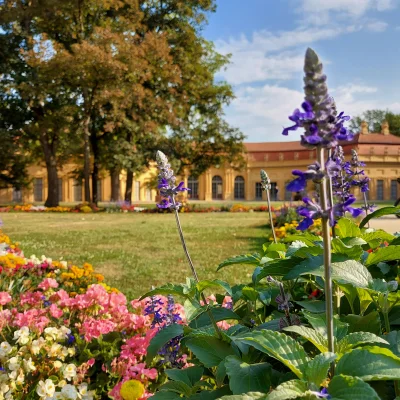 Orangerie im Schlossgarten