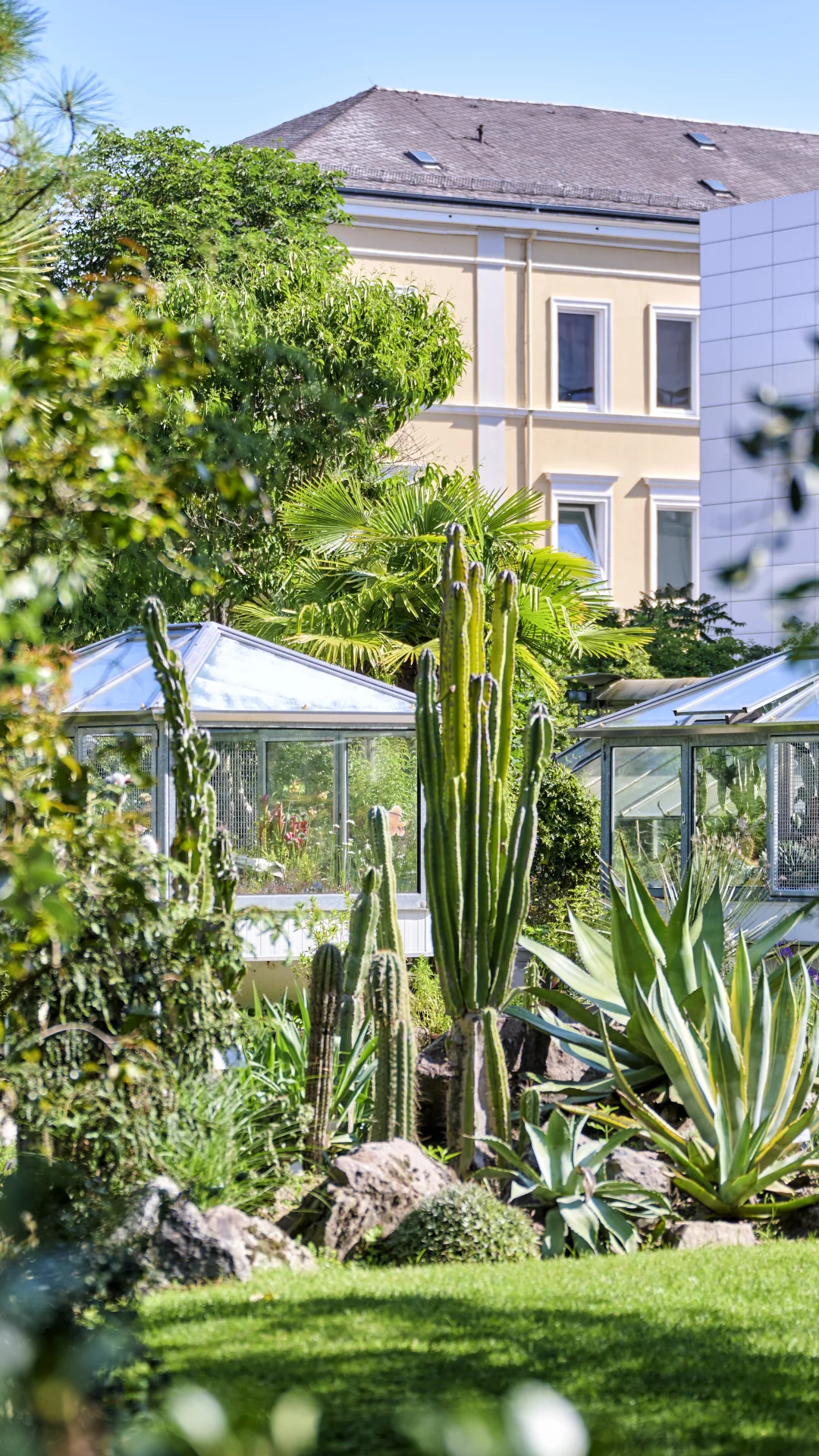 Blick in den Botanischen Garten Erlangen
