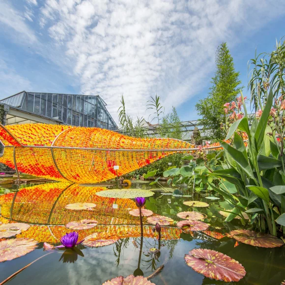 Botanischer Garten