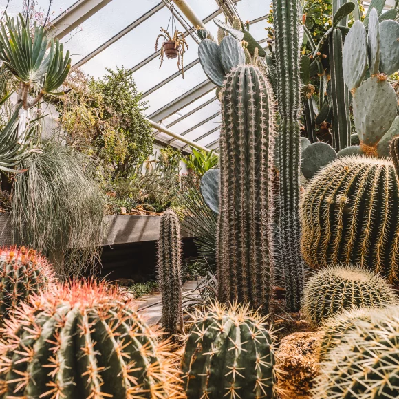 Botanischer Garten