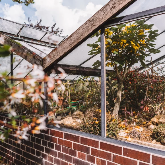 Botanischer Garten