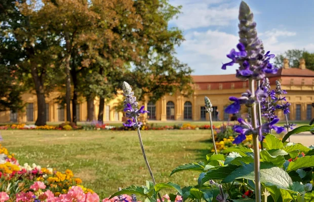 Orangerie im Schlossgarten